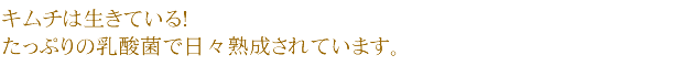 キムチは生きている！たっぷりの乳酸菌で日々熟成されています。