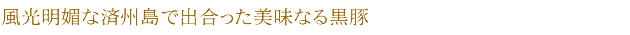 風光明媚な済州島で出合った美味なる黒豚