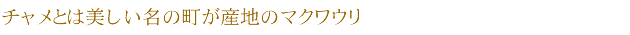 チャメとは美しい名の町が産地のマクワウリ