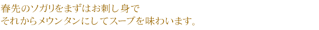 春先のソガリをまずはお刺し身でそれからメウンタンにしてスープを味わいます。