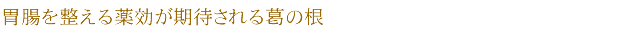 胃腸を整える薬効が期待される葛の根