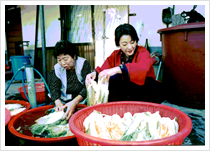 美食浪漫 写真